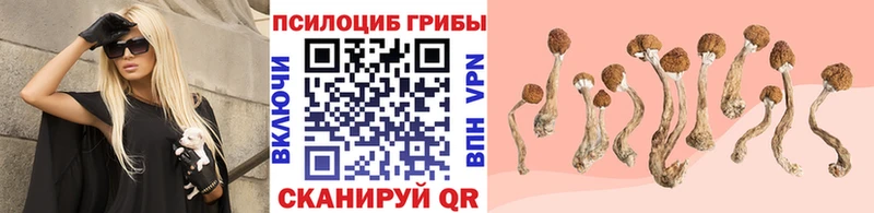 Галлюциногенные грибы Cubensis  Большой Камень 